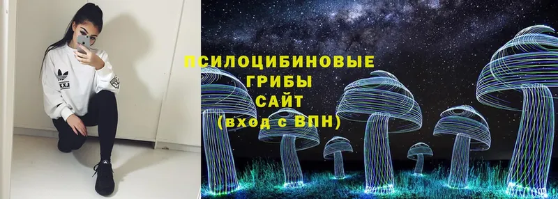 Псилоцибиновые грибы MAGIC MUSHROOMS  Почеп 